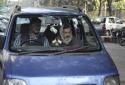 Delhi CM Arvind Kejriwal's iconic blue WagonR stolen in capital